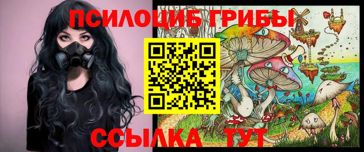 Псилоцибиновые грибы Cubensis Кимры